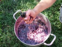 1414045376 yak zrobiti vino z vinogradu v domashnh umovah vdeo Як зробити вино з винограду в домашніх умовах відео