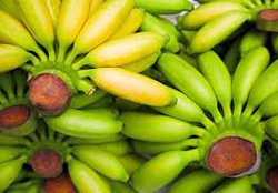  Бананова дієта   диво для стрункої фігури