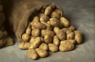  Як правильно виростити картоплю в домашніх умовах