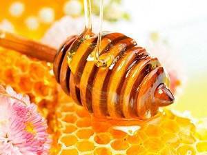  Бджоли і їх \суперпродукти\, користь продуктів бджільництва для людини