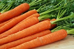  Моркву на зиму
