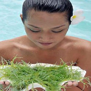  Морська капуста (ламінарія) для схуднення та очищення організму. Особливості використання та відгуки дієти на морської капусти (ламінарії).