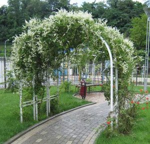  Садові арки: застосування, різновиди, матеріали виготовлення, місця для облаштування