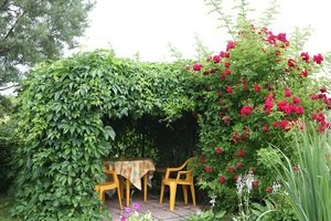  Саморобні садові клумби: їх види, необхідні матеріали, підбір рослин і квітів