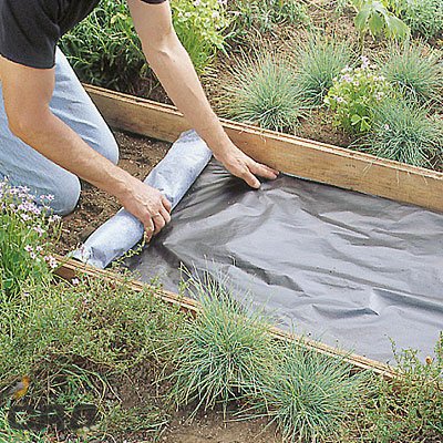  Створюємо садові доріжки своїми руками: чотири ідеї з покроковими інструкціями