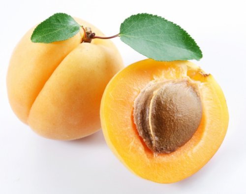  Цілющі властивості абрикосових кісточок