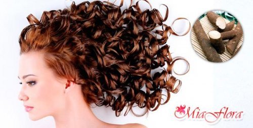  Корінь лопуха для волосся: відгуки та поради щодо застосування