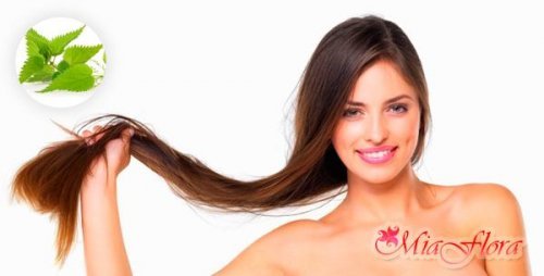  Кропива для волосся: десять чудодійних властивостей