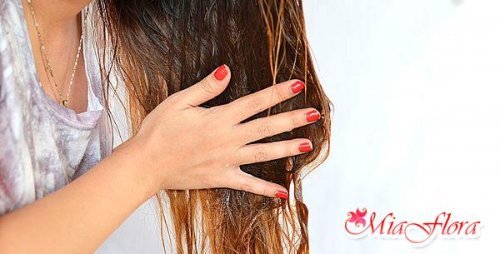  Персикове масло для волосся: відгуки та рецепти масок для лікування сухості і випадання