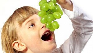  Які вітаміни і мікроелементи містяться у винограді. Все про вітаміни які є у винограді, цінність цієї солодкої ягоди.