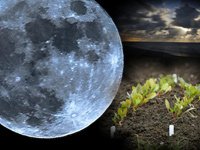 Місячний календар садівника городника на квітень 2015 рік Місячний календар садівника городника на квітень 2015 рік