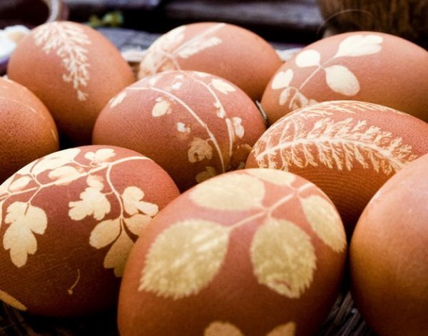  Фарбуємо великодні яйця в цибулинні з візерунками із зелені.