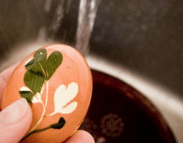  Фарбуємо великодні яйця в цибулинні з візерунками із зелені.