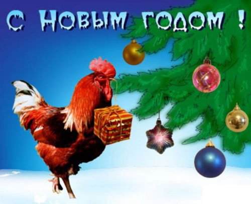 Листівки З 2017 Новим роком Півня. Креативні та цікаві ідеї Листівки З 2017 Новим роком Півня. Креативні та цікаві ідеї