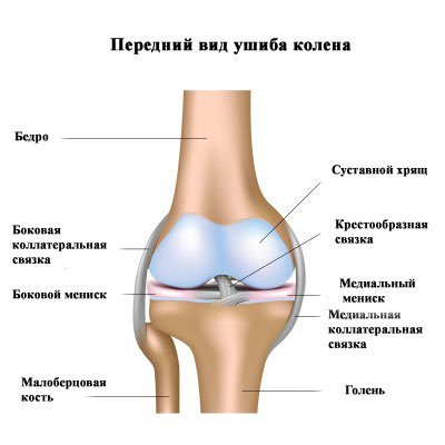 3915b855b50c20b7f350101e8ce7363f Забій коліна при падінні: лікування в домашніх умовах, що робити якщо опухло