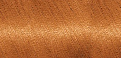 5bb8b8fe60068280c3d4cf63de589a77 Фарба для волосся Гарньєр (Garnier)   палітра кольорів (фото)