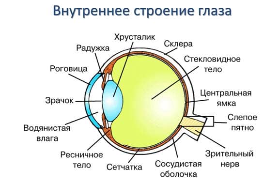 c7419960b64a9c6ee3947cc423734c0e Пошкодження рогівки ока: лікування і наслідки травми