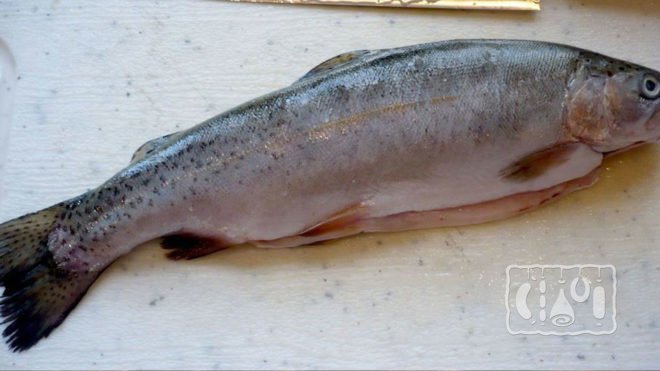 kak, gde i skolko khranit kopchenuyu rybu v domashnikh usloviyakh: zamorazhivat ili net46 Як, де і скільки зберігати копчену рибу в домашніх умовах: заморожувати чи ні