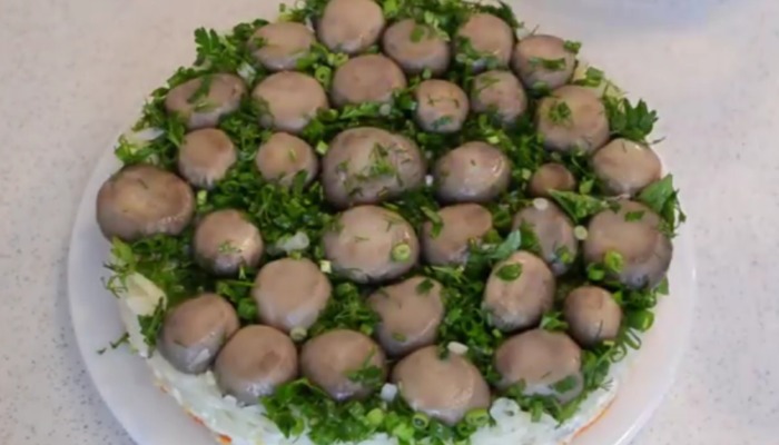  Новорічні салати 2022 — 15 рецептів смачних і красивих салатів на Новий Рік