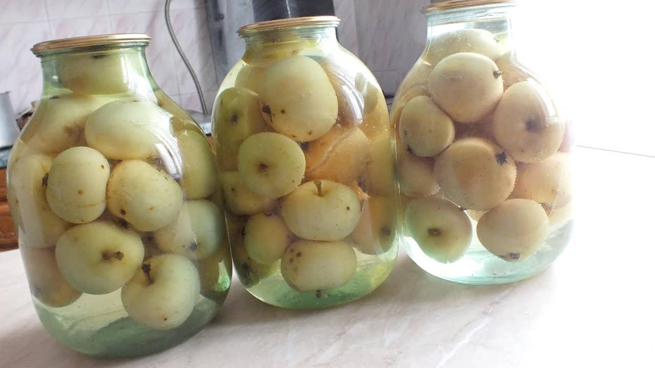 kak sushit yabloki v ehlektricheskojj dukhovke gazovojj plity45 Як сушити яблука в електричній духовці газової плити