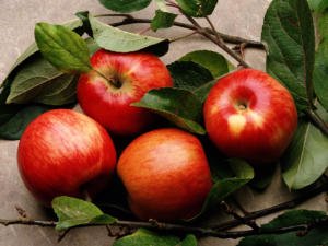 kompot iz yablok na zimu i na kazhdyjj den: recepty iz svezhikh plodov Компот з яблук на зиму і на кожен день: рецепти зі свіжих плодів