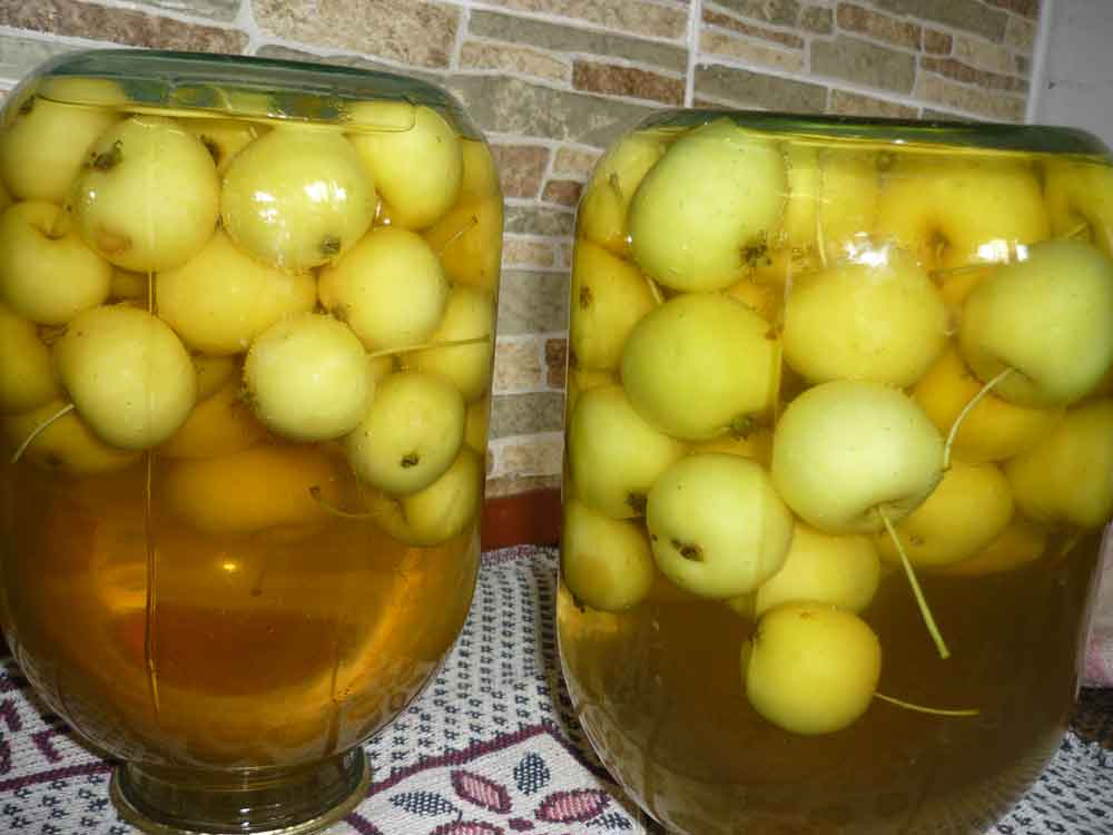 kompot iz yablok na zimu i na kazhdyjj den: recepty iz svezhikh plodov1 Компот з яблук на зиму і на кожен день: рецепти зі свіжих плодів