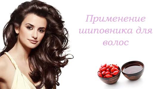 polza shipovnika dlya volos26 Користь шипшини для волосся