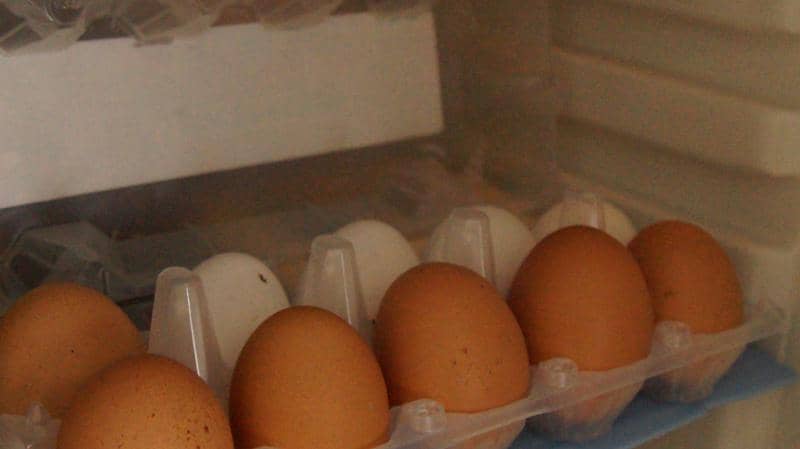 skolko khranyatsya yajjca v kholodilnike48 Скільки зберігаються яйця в холодильнику