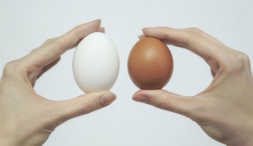 010c1012b70a2e24dd7a1e93f91811bb Яйце куряче: калорійність вареного (яйця некруто), смаженого, сирого яйця, білка і жовтка, вага і хімічний склад