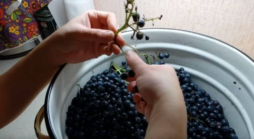 2f98390f22b95ebe4f04c758459d0acf Як зробити вино з чорного винограду в домашніх умовах: прості рецепти приготування, кращі сорти