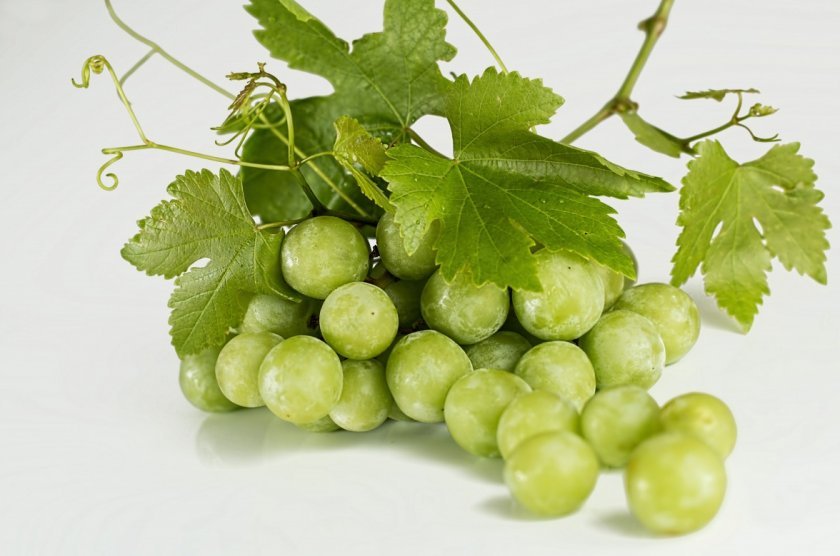 34da35c30936f4e6ca71644e1be58b96 Зелений виноград: посадка й догляд, користь і шкоду, калорійність, що можна приготувати, кращі рецепти, фото