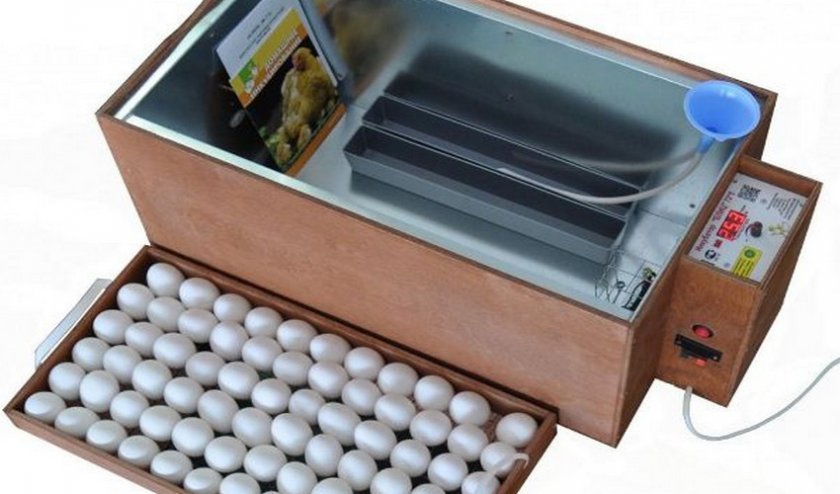 35bae7b1d948097c4d4b7aac5e30b14d Інкубатор для яєць «Бліц 48» автоматичний: виробник, норма, інструкція з експлуатації, відео