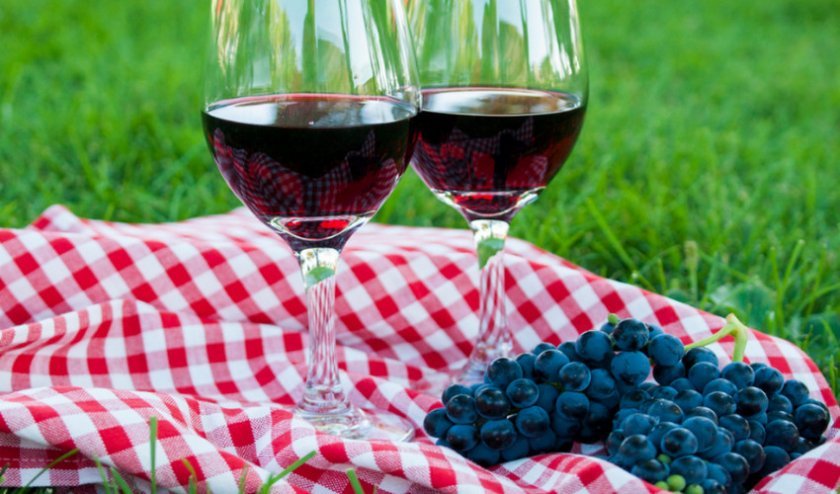 3e5e830891c6f3a091720c42aff90f61 Як зробити вино з винограду Ізабелла в домашніх умовах: прості покрокові рецепти домашнього вина, коли збирати виноград на вино, фото, відео