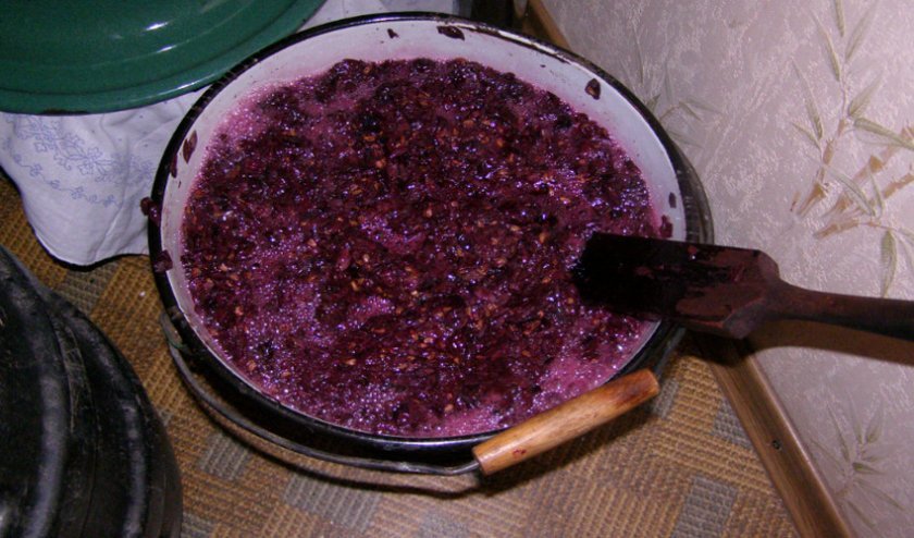 45e502d5c60e3378155726c53e0b11e2 Вино з винограду Молдова: як зробити в домашніх умовах своїми руками, покроковий рецепт приготування