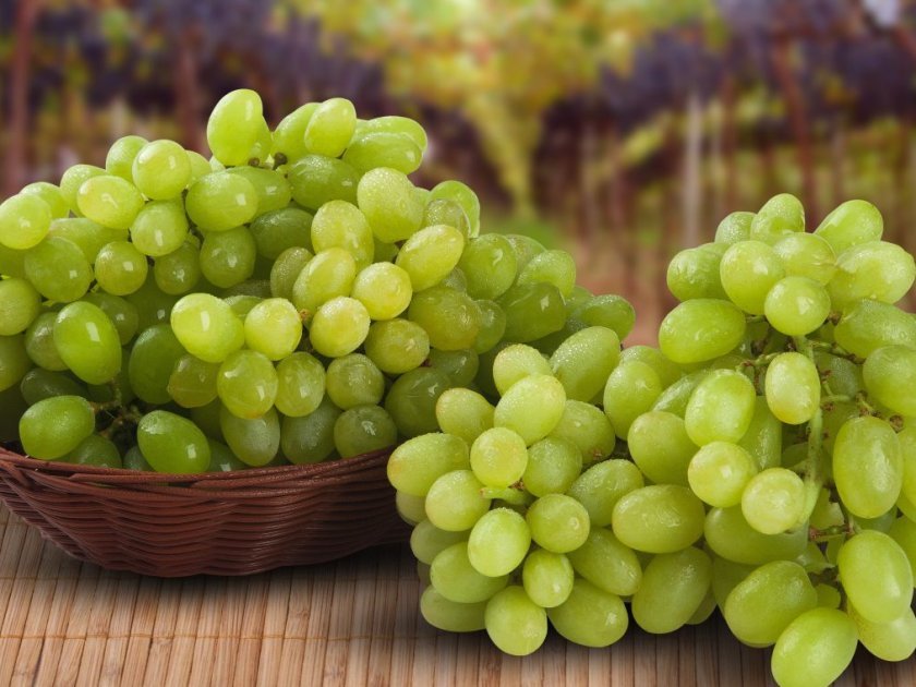 71786eed02ec700434ce4b2957bac607 Зелений виноград: посадка й догляд, користь і шкоду, калорійність, що можна приготувати, кращі рецепти, фото