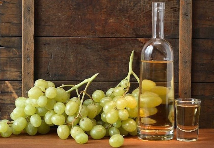77df5c5ad89b282a3841652c3c197a7a Як зробити вино з білого винограду: прості рецепти, кращі сорти, покрокове приготування