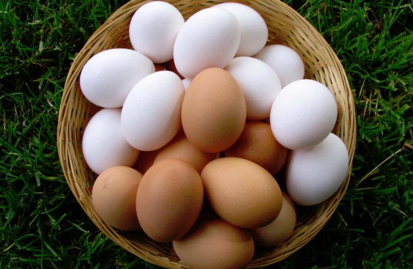 94a0a1466e071f85ec75760aa83a3d98 Корисно пити сирі курячі яйця чоловікам, жінкам і дітям: властивості від вживання в їжу, можливу шкоду