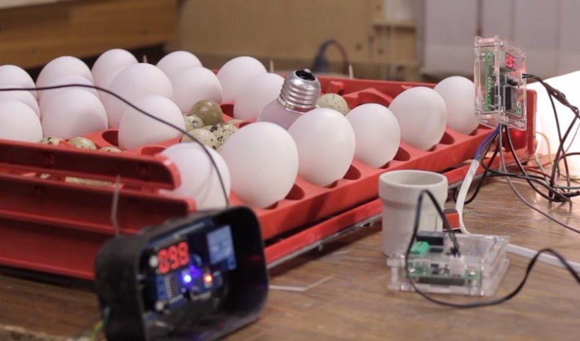 9bb345850c9f7bd8a304e672a7744d7c Інкубатор своїми руками з автоматичним переворотом яєць: як зробити своїми руками в домашніх умовах, креслення, відео