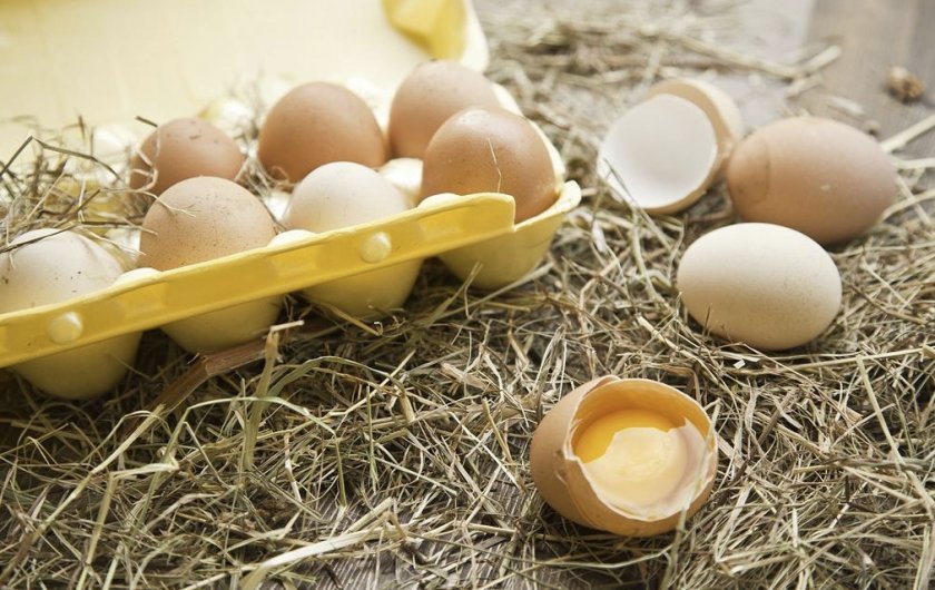 9f8e9cdccd15053d19ff6baf49dab829 Яйце куряче: калорійність вареного (яйця некруто), смаженого, сирого яйця, білка і жовтка, вага і хімічний склад