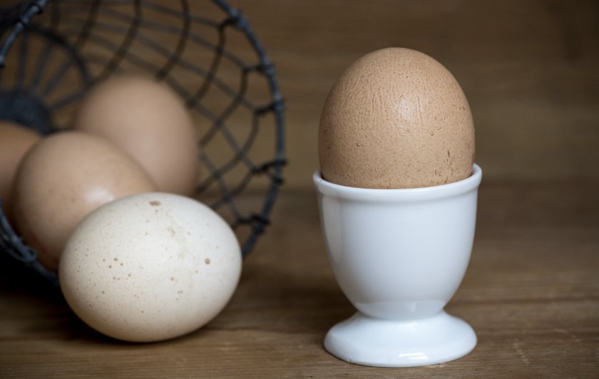 b25c297268f172e39b62a918167ede66 Яйце куряче: калорійність вареного (яйця некруто), смаженого, сирого яйця, білка і жовтка, вага і хімічний склад