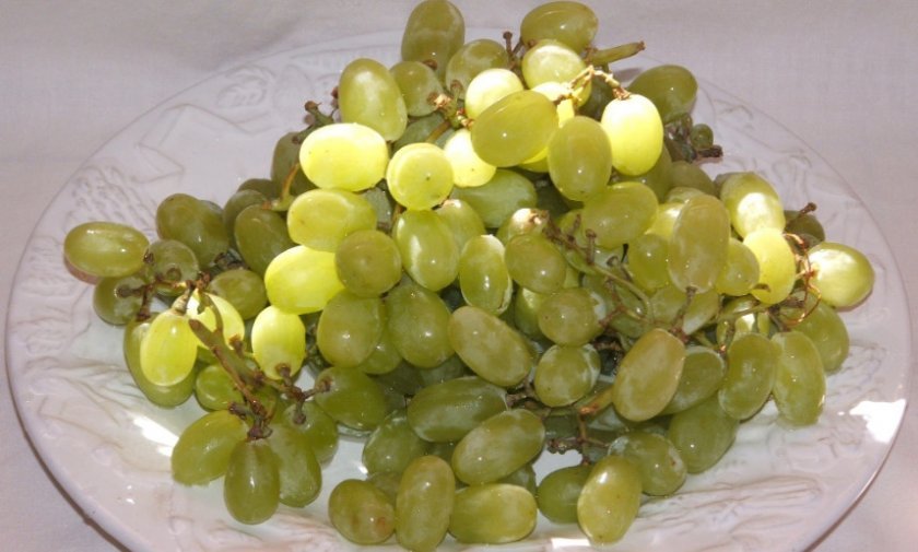 cb1d1be02dd1a681ba2c8aaf3392bb2c Кращі сорти винограду без кісточок: опис та особливості розмноження, фото