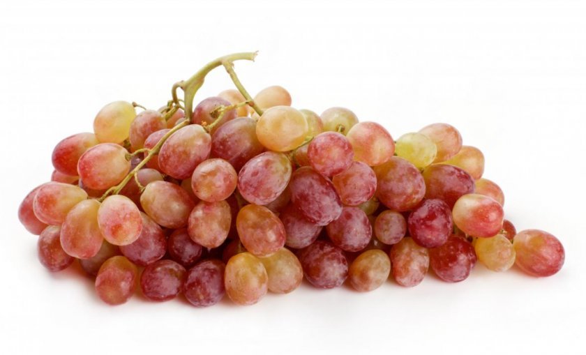 d272e03c9a346abbdf2c91209d046bb1 Найсмачніші сорти винограду: вибір за кольором і терміном дозрівання, які сорти найбільш невибагливі, відео