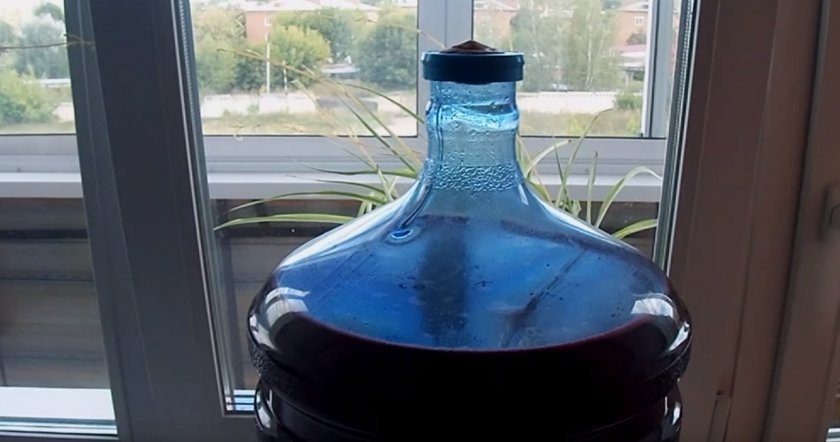 d2e994a03a8f7d54208ddea5b514f8ec Як зробити вино з чорного винограду в домашніх умовах: прості рецепти приготування, кращі сорти