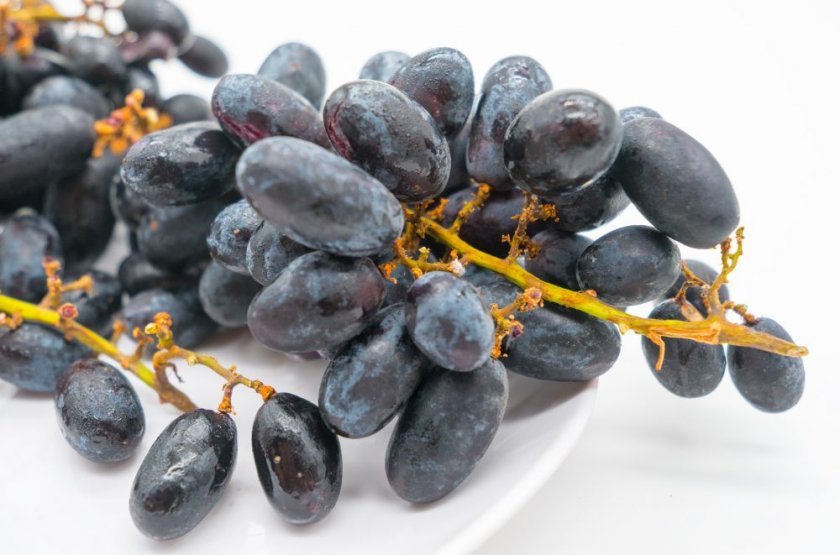 f0ab728bf71d9787cbec7279aff89a0b Як зробити вино з чорного винограду в домашніх умовах: прості рецепти приготування, кращі сорти