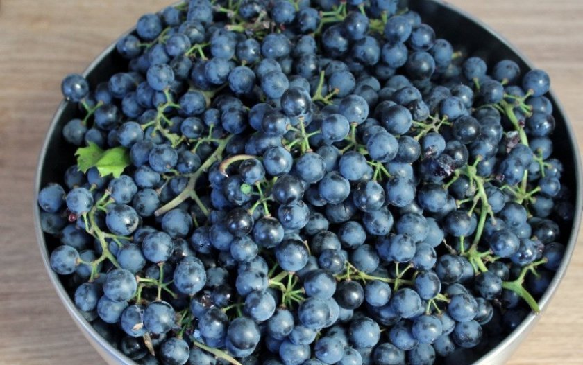 kak svarit kompot iz vinograda na zimu: prostojj recept33 Як зварити компот з винограду на зиму: простий рецепт