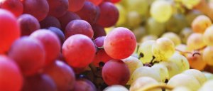 sushjonyjj vinograd: chem polezen, kak vysushit v domashnijj usloviyakh, kak khranit41 Сушений виноград: чим корисний, як висушити в домашній умовах, як зберігати