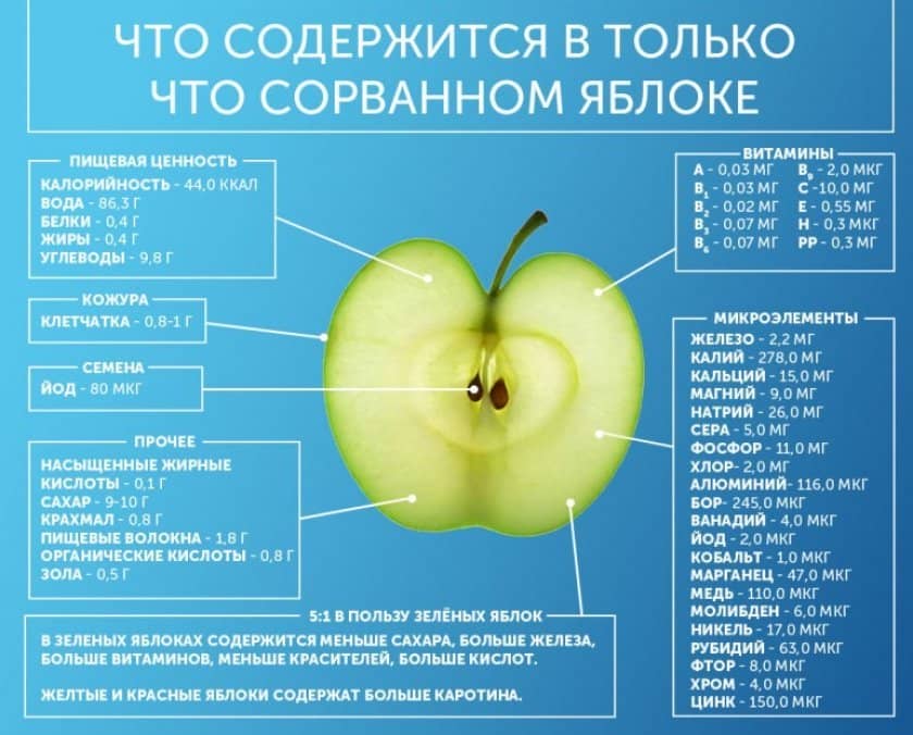 566ab430009706f78d0740cd7d6e9925 Яблуко — це фрукт або ягоду? Опис, хімічний склад і калорійність, користь і шкоду, сфери застосування
