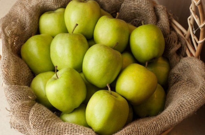 91fb52cb453bc087a1eaa9cf546bd1e7 Калорійність сорти яблук Симиренка: кількість калорій на 1 штуці і в 100 грамах яблук, корисні властивості і склад