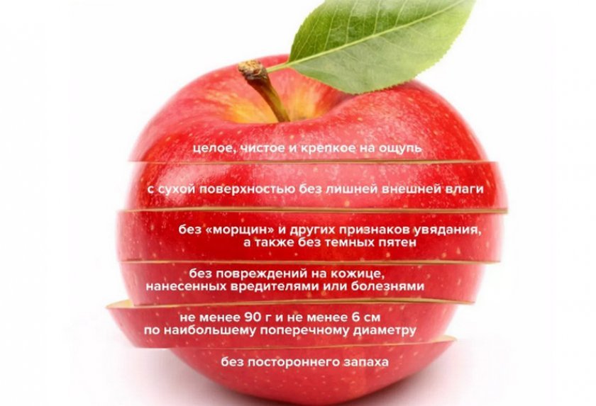 a26c07cc339aab6d764075308610850c Яблуко — це фрукт або ягоду? Опис, хімічний склад і калорійність, користь і шкоду, сфери застосування