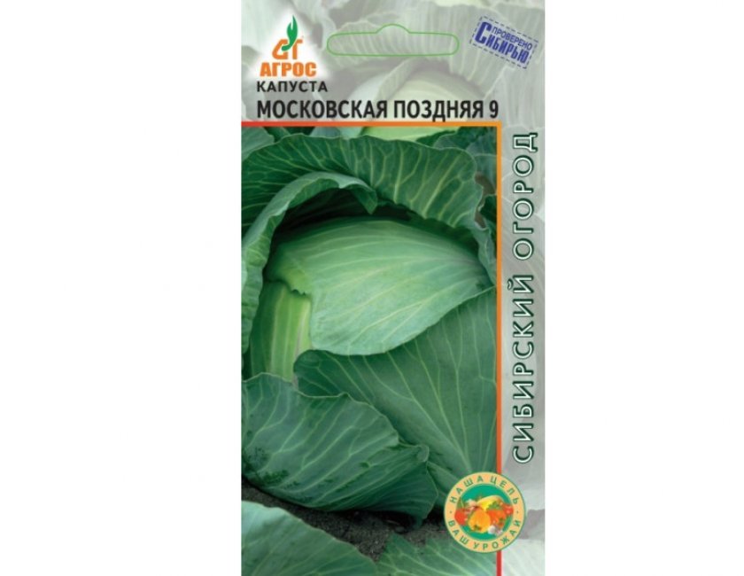c922b7063d3bcf2269d9def6ef398842 Капуста Московська пізня: опис, особливості вирощування та догляду, фото